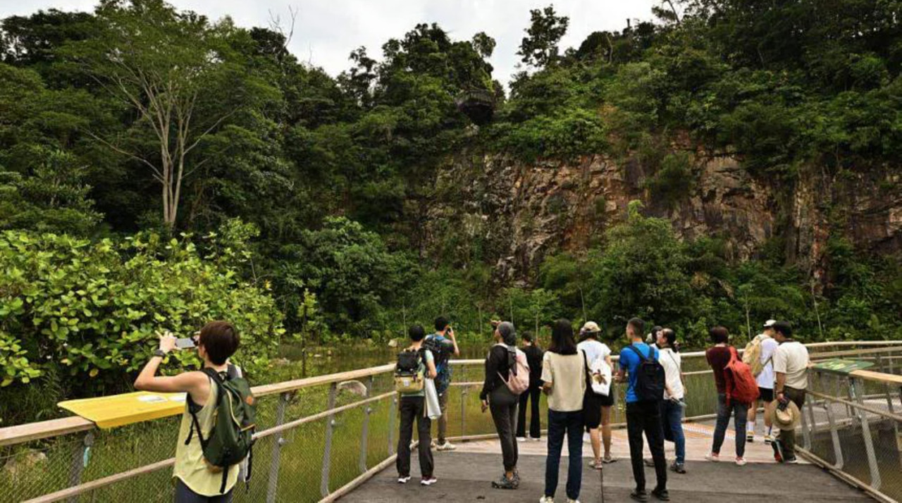 Newly opened Rifle Range Nature Park offers 7km-long trails, rain garden and a clifftop view | The Straits Times