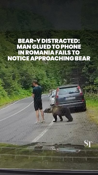 Man glued to his phone fails to notice bear behind him