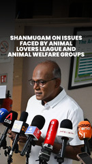 Shanmugam on the future of Animals Lovers League and animal welfare groups in S’pore
