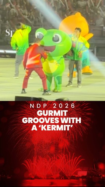 Frog mascot shows off funky moves | NDP2026