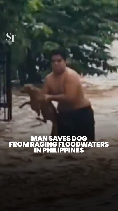 Man saves dog from being swept away by floods in Olangapo, Philippines