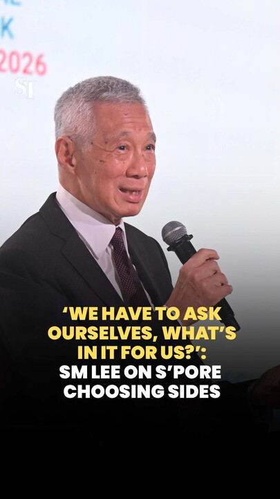 ‘We have to ask ourselves, what’s in it for us?’: SM Lee on S’pore choosing sides
