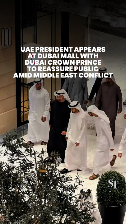 UAE president and Dubai crown prince spotted at Dubai mall amid Middle East conflict