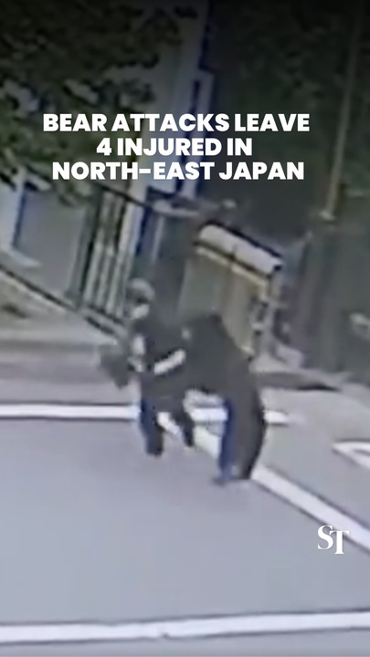 4 injured after bear goes on rampage in Japan; all remain conscious