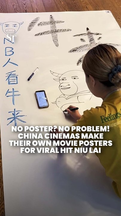 Cinemas in China get creative with DIY movie posters for viral hit Niu Lai