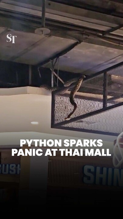 Python sparks panic at Thai mall