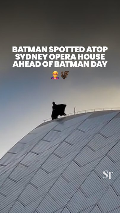 Batman watches over Sydney from the top of the Opera House ahead of Batman Day