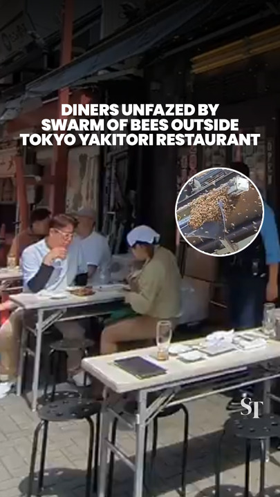 Diners unfazed by swarm of bees outside Tokyo yakitori restaurant