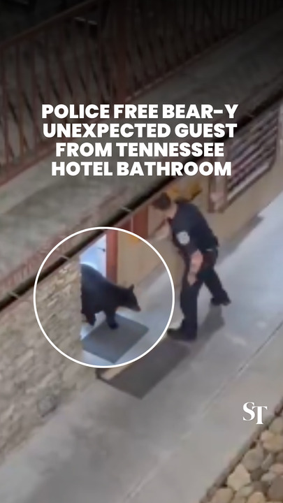 Police free black bear locked in Tennessee hotel bathroom