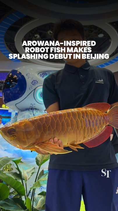 Arowana-inspired robot fish makes debut at China International Fair for Trade in Services in Beijing, China