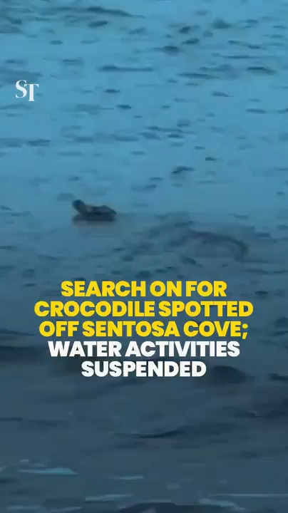 Search on for crocodile spotted off Sentosa Cove; water activities suspended