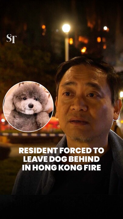 Hong Kong fire: Resident watches home burn after leaving dog behind