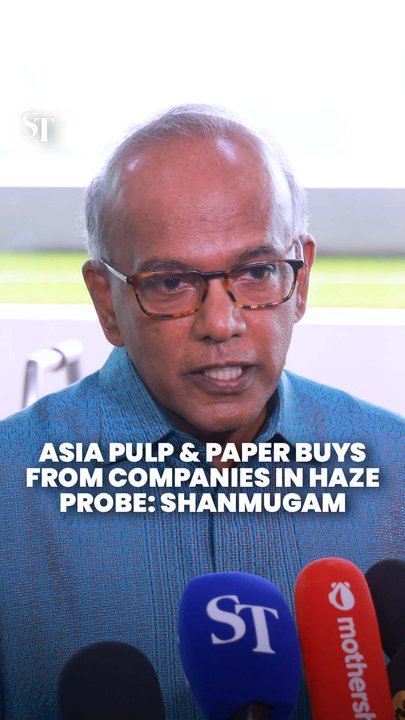 Asia Pulp & Paper buys from companies in haze probe: Shanmugam