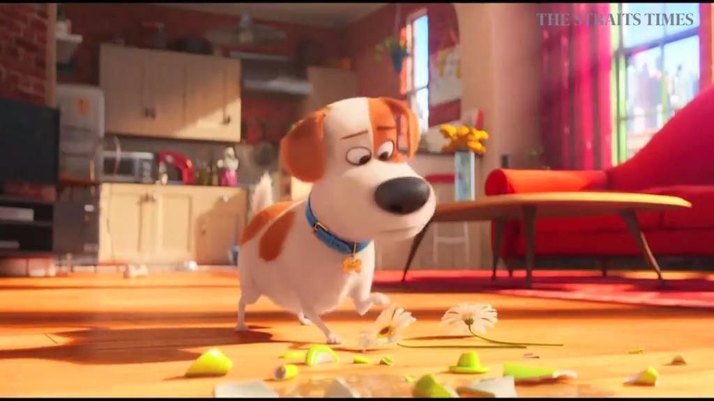 Louis C.K. is unleashed in animated 'Secret Life of Pets