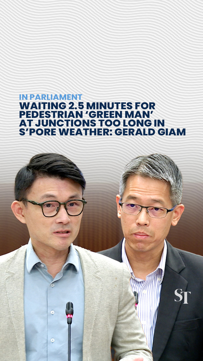 Baey Yam Keng answers question on traffic light wait times and what the green man button does