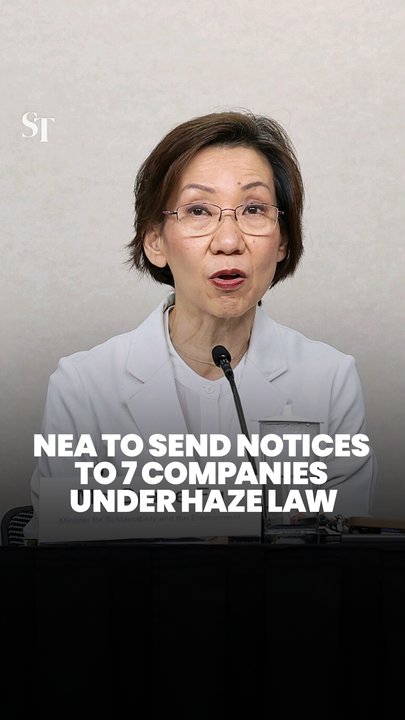 NEA to investigate companies responsible for transboundary haze in S’pore: Grace Fu