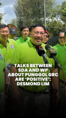 Desmond Lim em SDA 'positivo', WP fala sobre Punggol GRC | GE2025