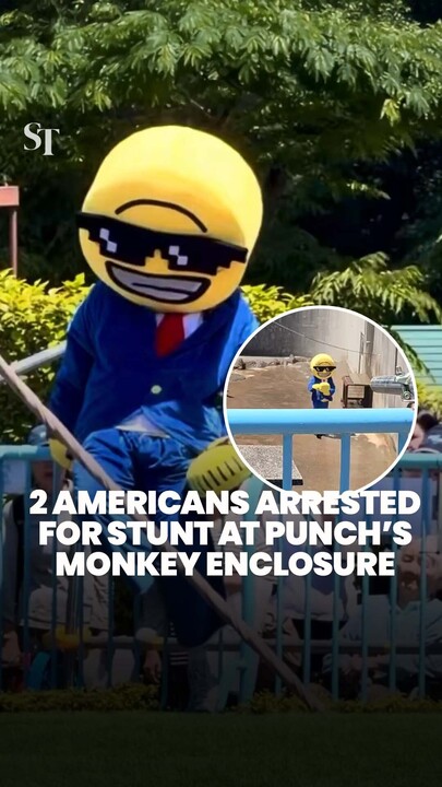 Intruder and accomplice arrested for stunt at Punch the monkey’s enclosure