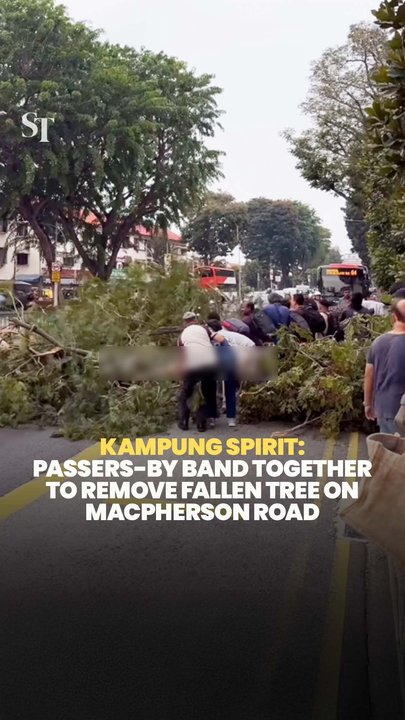 Kampung spirit: Passers-by band together to remove fallen tree on MacPherson Road