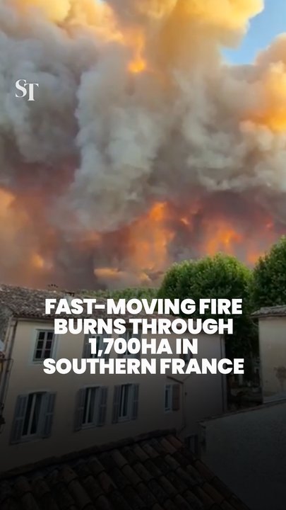 Fast-moving wildfire rips through southern France
