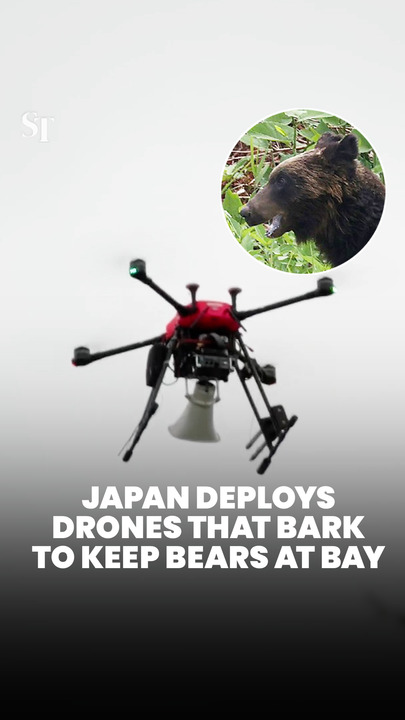 Japan deploys drones that bark to keep bears at bay amid increasing attacks