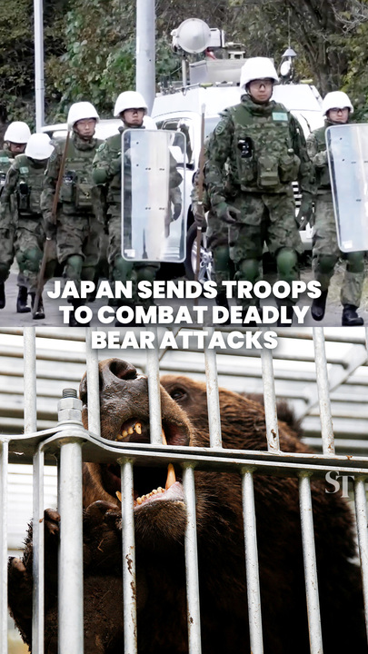 Japan sends troops to mountainous north to combat bear attacks 