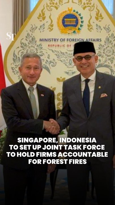 Singapore, Indonesia to set up joint task force to hold firms accountable for forest fires