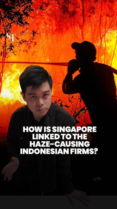 The Singapore connections to the Indonesian companies causing the haze