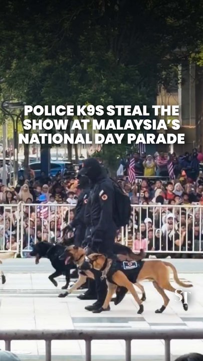 Malaysia’s K9 dogs melt hearts during National Day celebrations