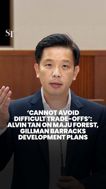 ‘Cannot avoid difficult trade-offs’: Alvin Tan on Maju Forest, Gillman Barracks development plans