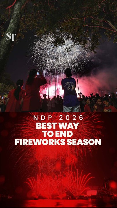 Crowds mesmerised by SG61 fireworks display | NDP2026