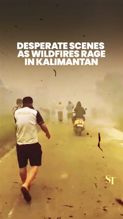 Desperate scenes captured in East Kalimantan, Indonesia, as wildfires continue to rage