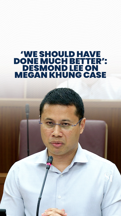 Desmond Lee apologises on behalf of agencies for outcome of Megan Khung case