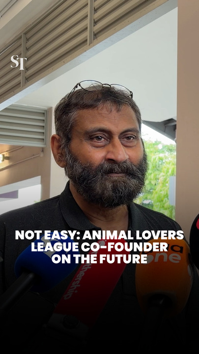 Animal Lovers League founders break their silence on future of their shelter in Singapore