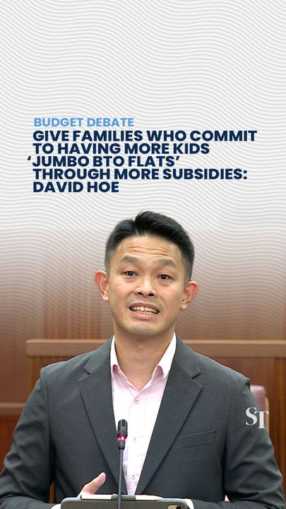 David Hoe suggests ‘jumbo BTO flats’ to encourage Singapore couples to commit to have more kids
