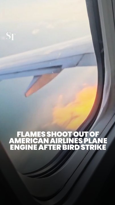 American Airlines plane diverted after engine fire due to bird strike