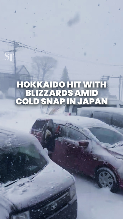 Hokkaido blanketed by blizzards as cold winter snap hits Japan
