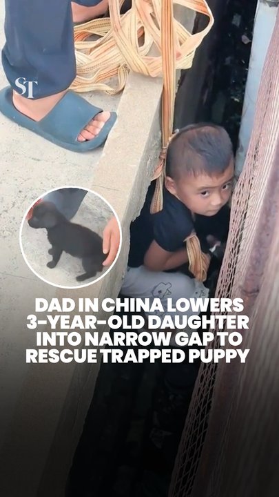 3-year-old girl in China lowered into narrow gap by father to rescue trapped puppy