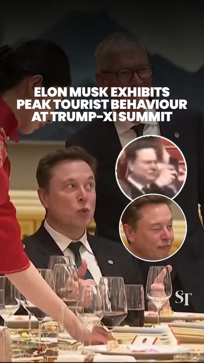 Elon Musk exhibits peak tourist behaviour at Trump-Xi summit