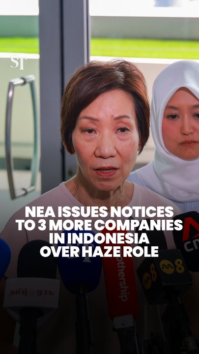 NEA issues notices to 3 more companies in Indonesia over fires contributing to haze