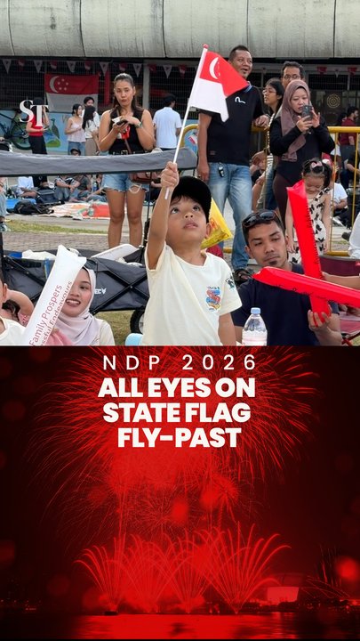 Crowds gather to watch the state flag fly-past | NDP2026