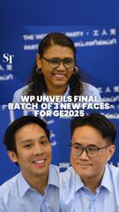 WP unveils final batch of three new candidates for GE2025