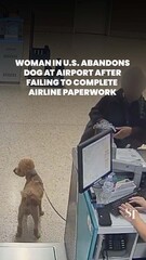 Woman in US abandons dog at airport after failing to complete airline paperwork