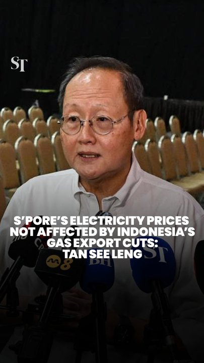 Tan See Leng says Singapore’s electricity prices won’t be affected by Indonesia cutting gas exports in the short term