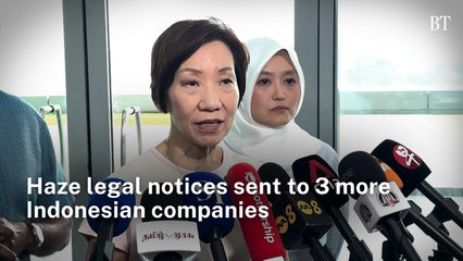 Haze legal notices sent to 3 more Indonesian companies: Grace Fu