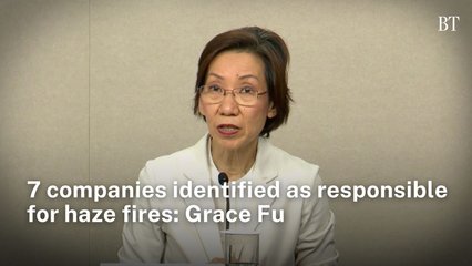 7 companies identified as responsible for haze fires: Grace Fu