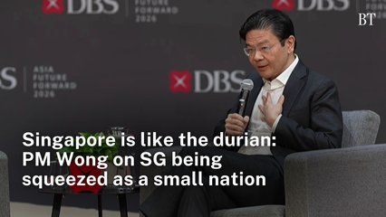 Singapore is like the durian: PM Wong on SG being squeezed as a small nation