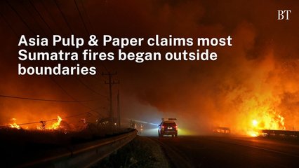 Asia Pulp & Paper claims most Sumatra fires began outside boundaries
