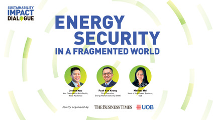 Energy security in Asean offers untapped opportunities | Sustainability Impact Dialogue