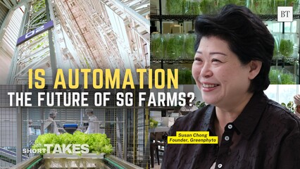 Inside the world’s tallest hydroponic megafarm